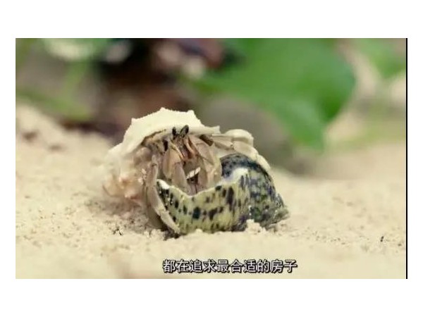 會移動的戶外廣告來了，根本不夠看！